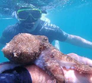 Tintenfisch Fuerteventura