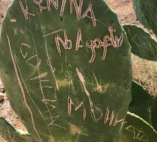 Inselrundfahrt Kreta