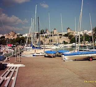 Hafen von Palma