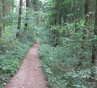 Hochgeträumt Premiumwanderung