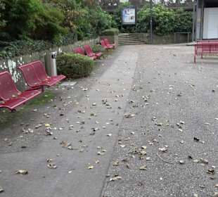Konzertmuschel Langenargen