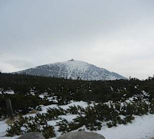 Schneekope/Śnieżka
