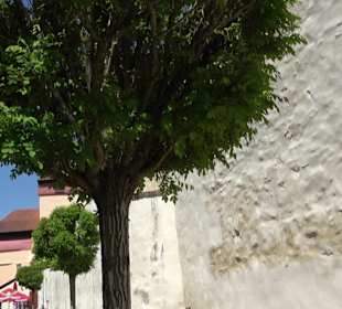 Rosengarten Nördlingen