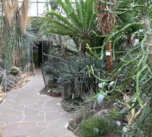 Sukkulentenhaus