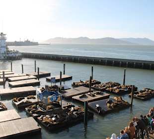 Pier 39