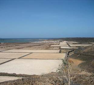 Las Salinas de Janubio