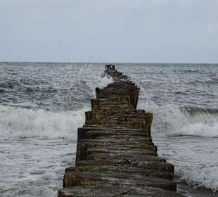 Strand Kühlungsborn