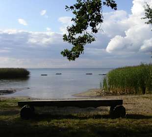 Müritz - See