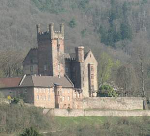 Blick zur Mittelburg von Neckarsteinach