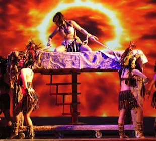Las Vegas Magic Show