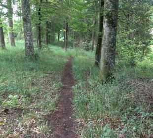 Premiumwanderweg "hochgehackert"