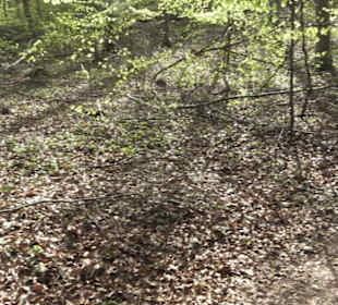 Wanderweg Hochgehkämpft