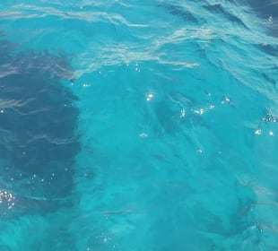 Aphrodite II - blue lagoon