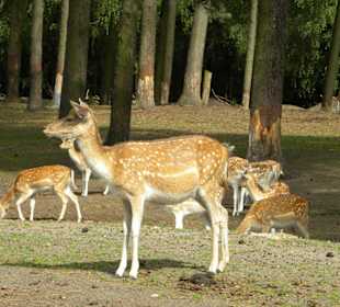 Serengeti Park Hodenhagen