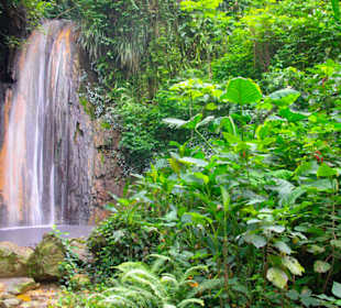 Botanischer Garten Soufriere