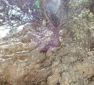 Imbros Schlucht