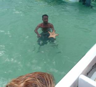 Seesterne in der größten Badewanne