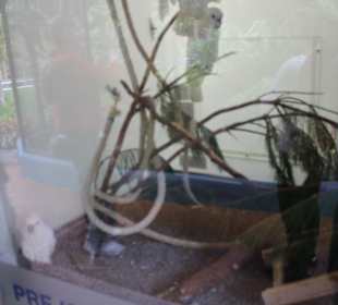 Animal Embassy - Aufzuchtstation