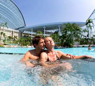 Palmenparadies mit geöffnetem Panoramadach