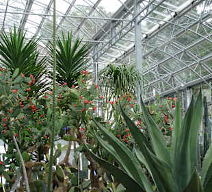 Villengärten Überlingen