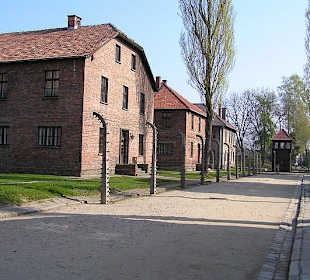 Oswiecim