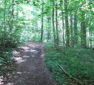 Hochgeträumt Premiumwanderung