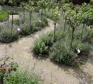 Rosengarten auf der Roseninsel