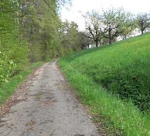 Naturerlebnisweg des NABU-Metzingen