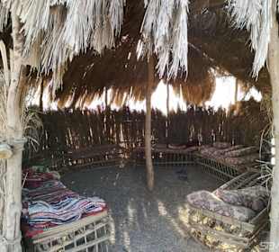 BBQ Dinner - Nighttour powerd by  E-Motion