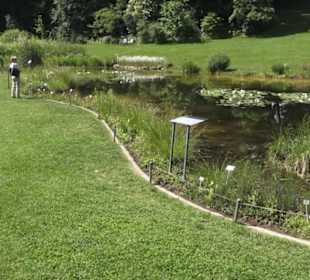 Botanischer Garten der Universität Zürich