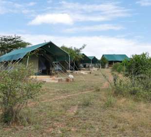 Fisi Camp