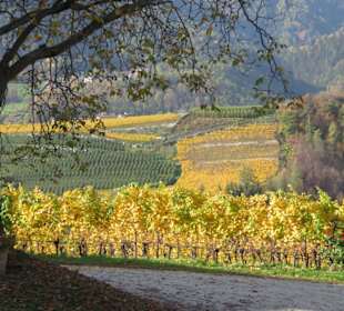 Goldener Herbst an den Hängen des Klosters