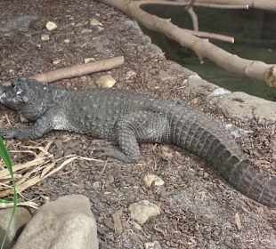 Meeresaquarium am Fichtelberg
