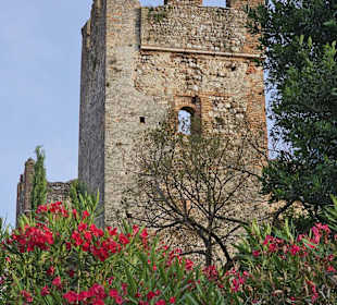 Lazise Scaligo Scaligero