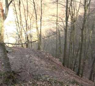 Schillerhöhle