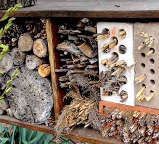 "Insektenhotel" vor dem Tropenhaus