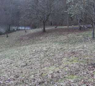 Wanderung rund um den Ochsenweiher