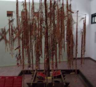 Im Haupthaus des Museums