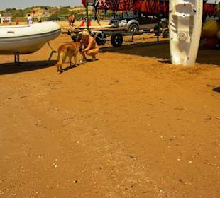 Der bekommt auch mal Wasser...