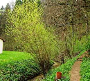 Wanderungen in Obertrubach