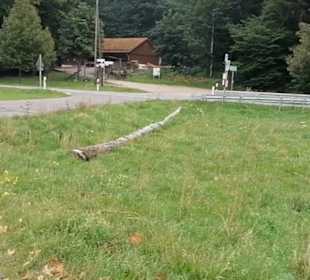 Rund um die Eninger Weide