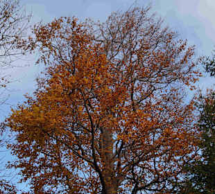 Riesengebirge/Karkonosze