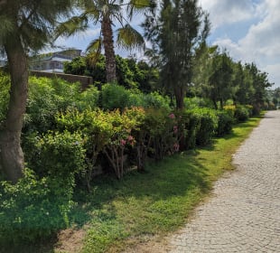 Strandpromenade Evrenseki