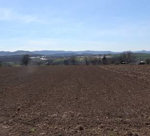 Premiumwanderweg "hochgeblickt"