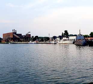 Apollo Tagestour zur Greifswalder Oie 