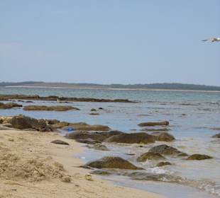 Sandstrand Insel Levan