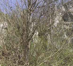 Waldlehrpfad an der Lauter