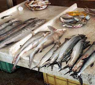 Fischmarrkt von Barka