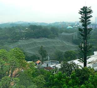 Alle Gute kommt von oben!