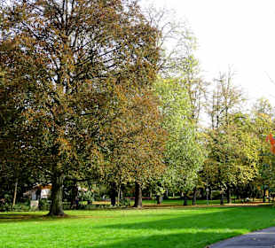 Impressionen aus dem herbstlichen Schlosspark